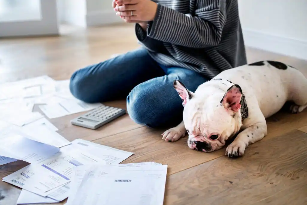 What Happens to Your Pets When You Die? – Estate Planning With Cats & Dogs
